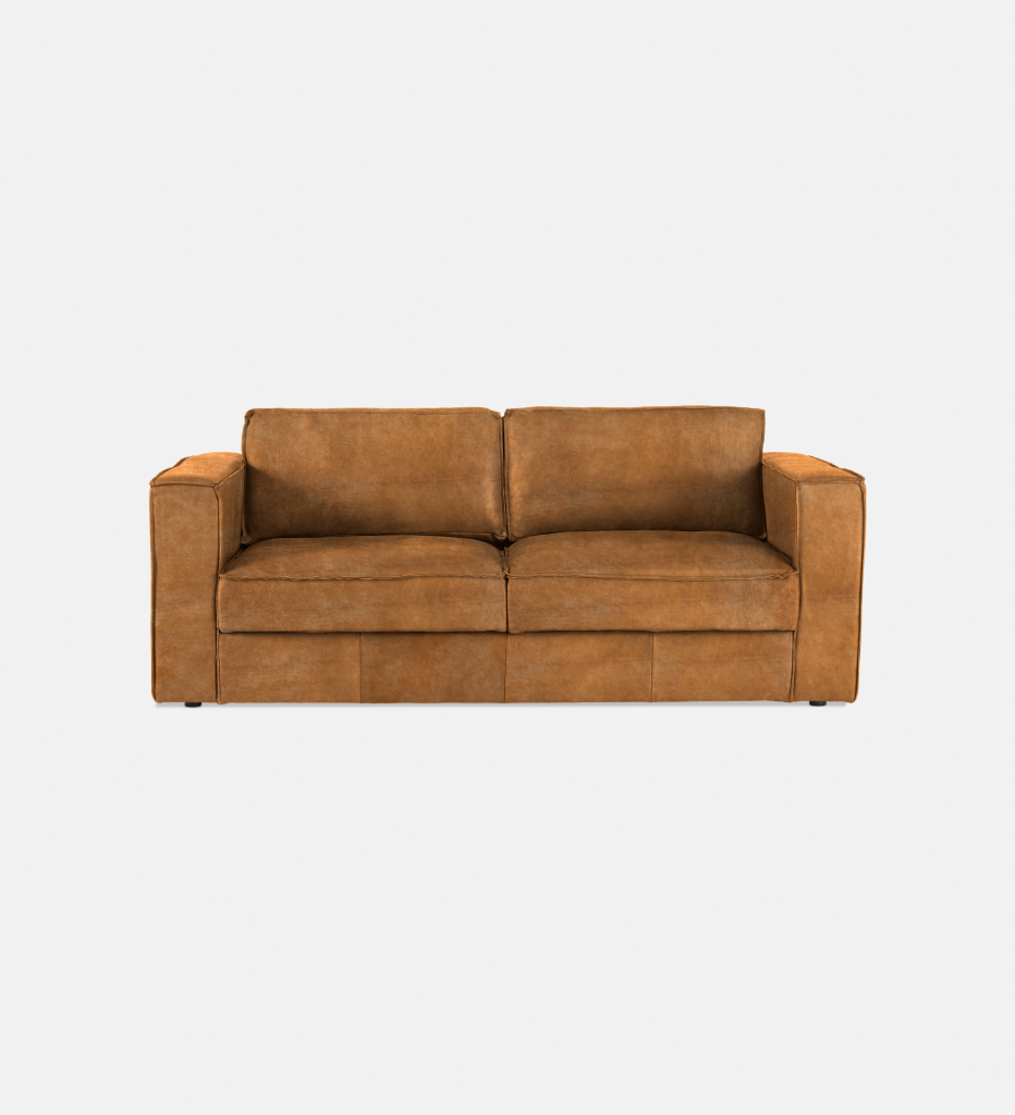 Rosco Upholstered 2 Seater Couch