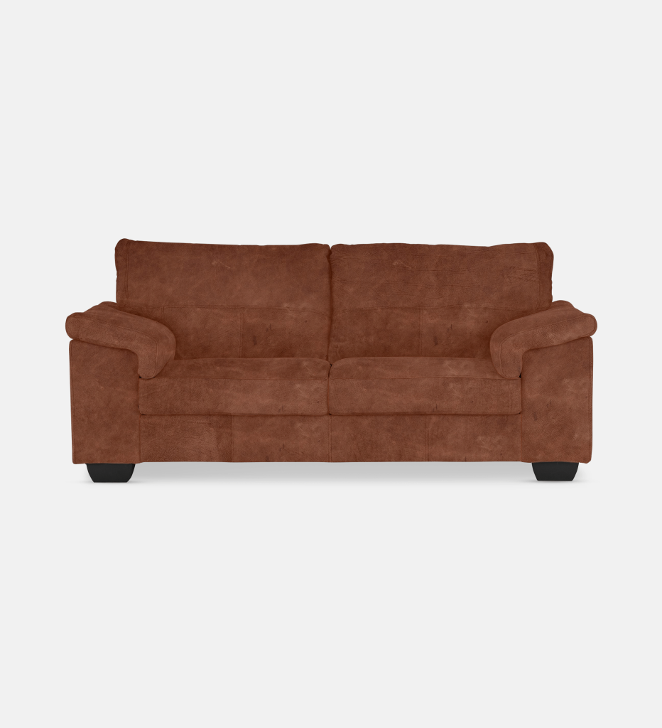 Breen Leather 2 Seater (13956)