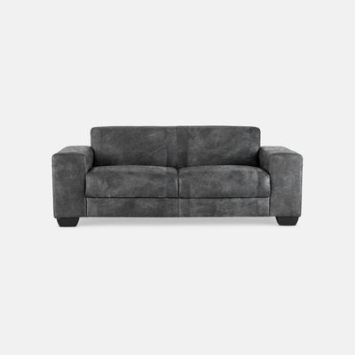 Terry Upholstered 2 Seater Couch