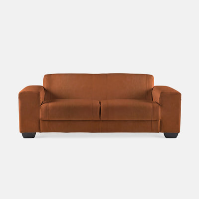 Terry Upholstered 2 Seater Couch