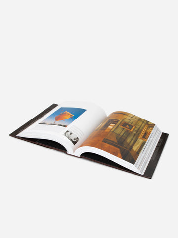 Louis Vuitton Birth of luxury (94675)