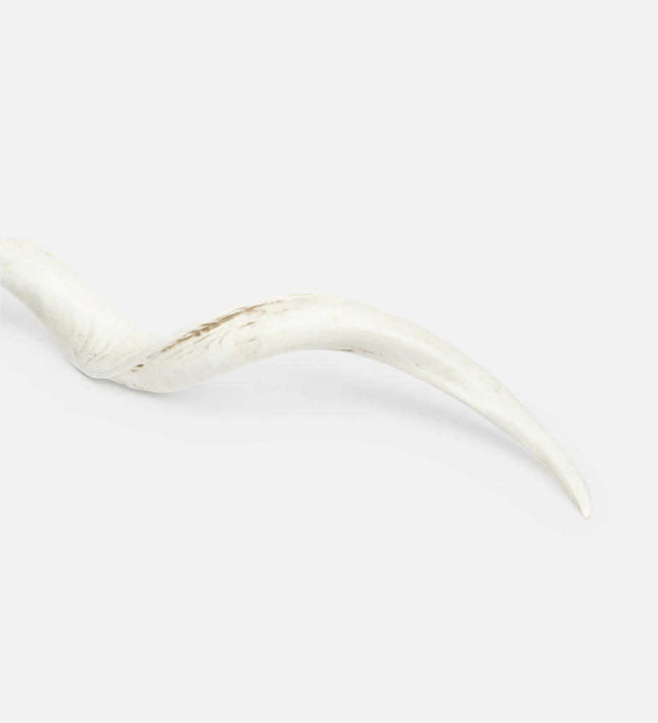 Kudu Horn Plain (19117)