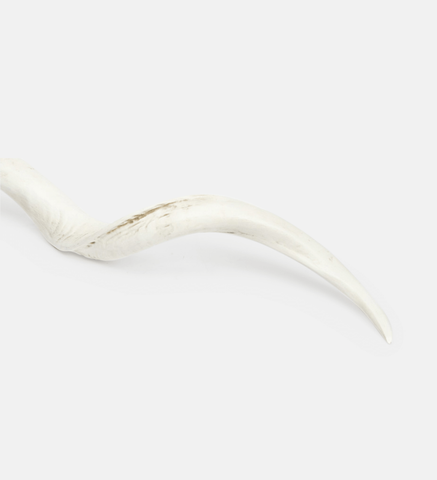 Kudu Horn Plain (19117)
