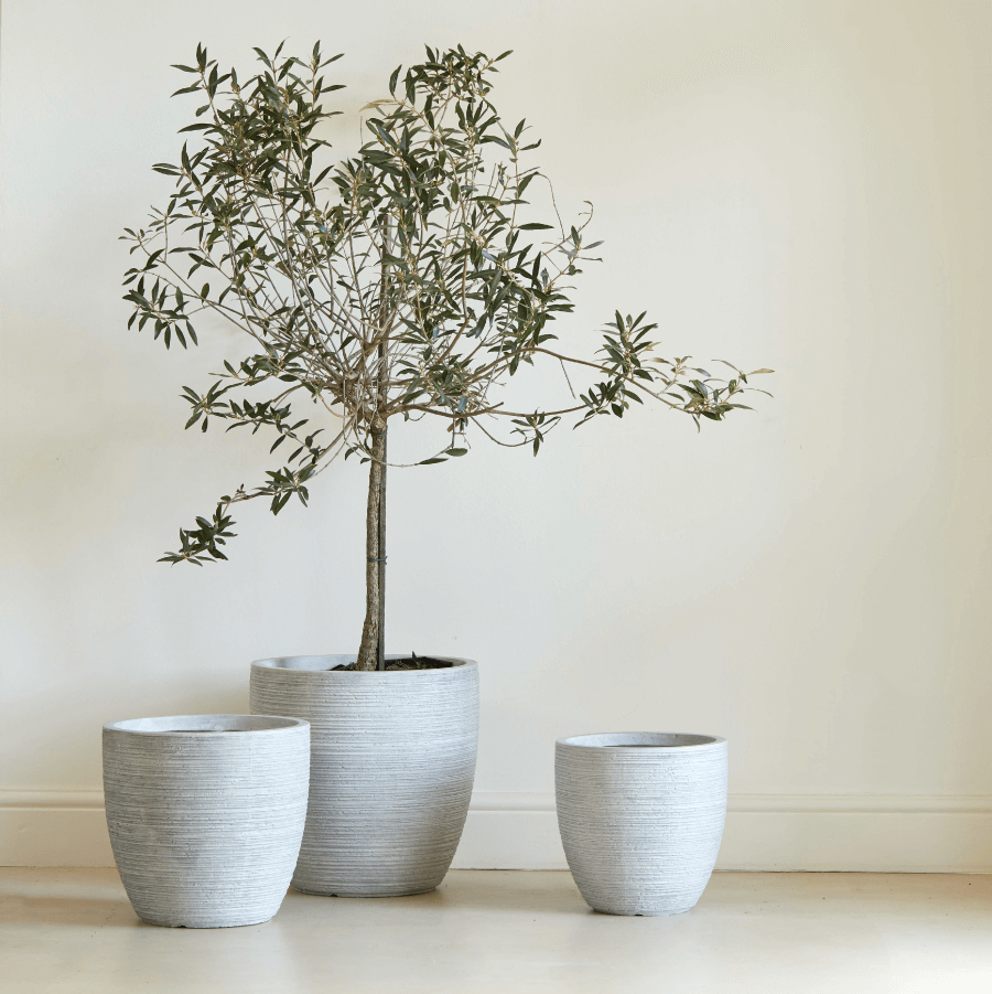 Arwen Planter (19176)