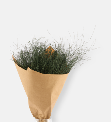 Forest Edge (102551)
