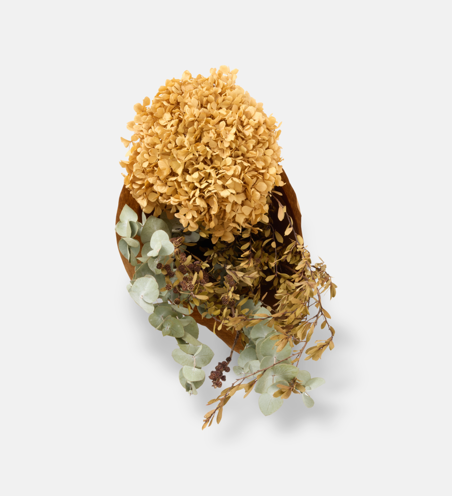  Ivory Garden (102541)