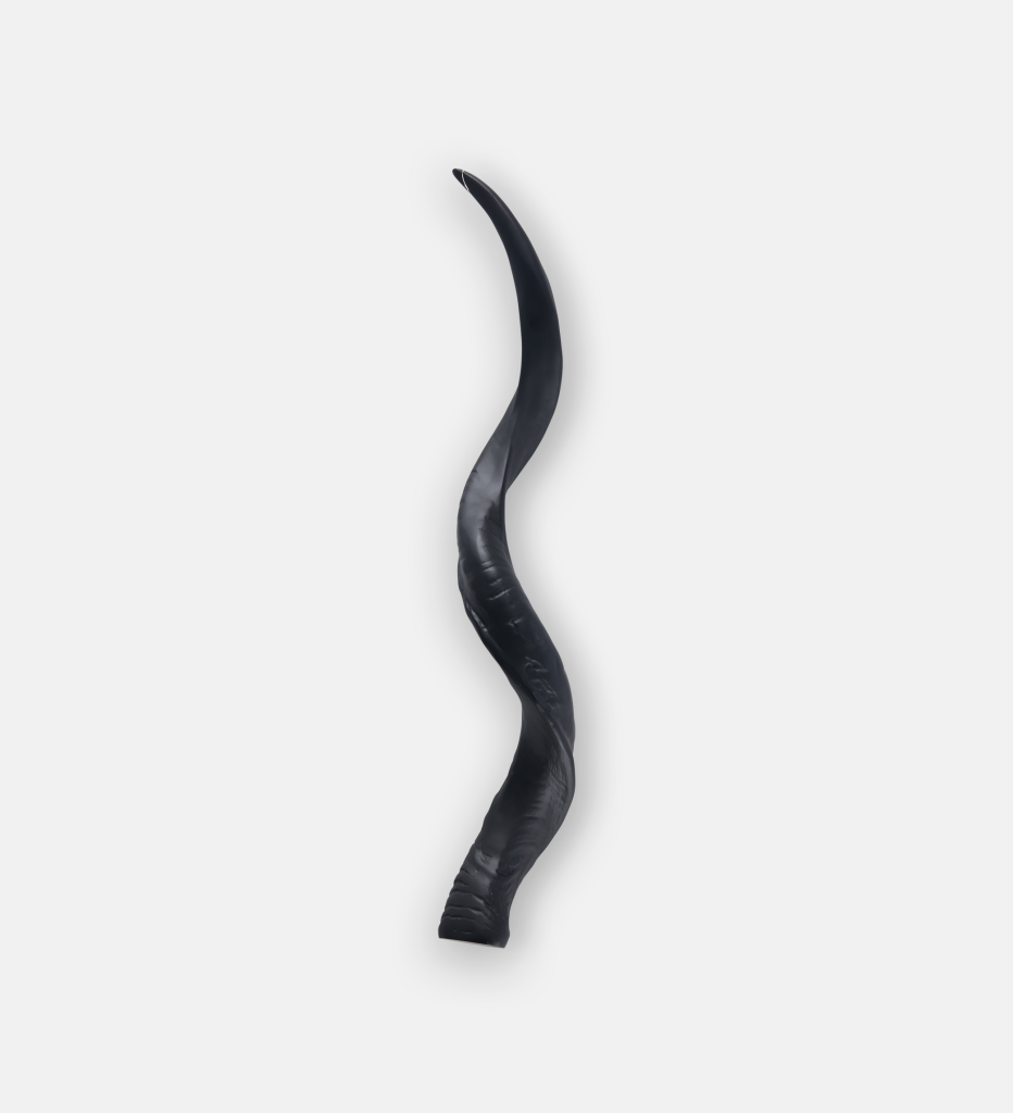 Kudu Horn Plain (91670)