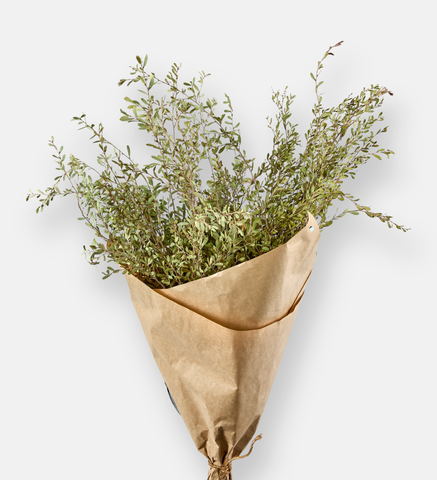 Myrtle Dried Flower Bouquet (94109)