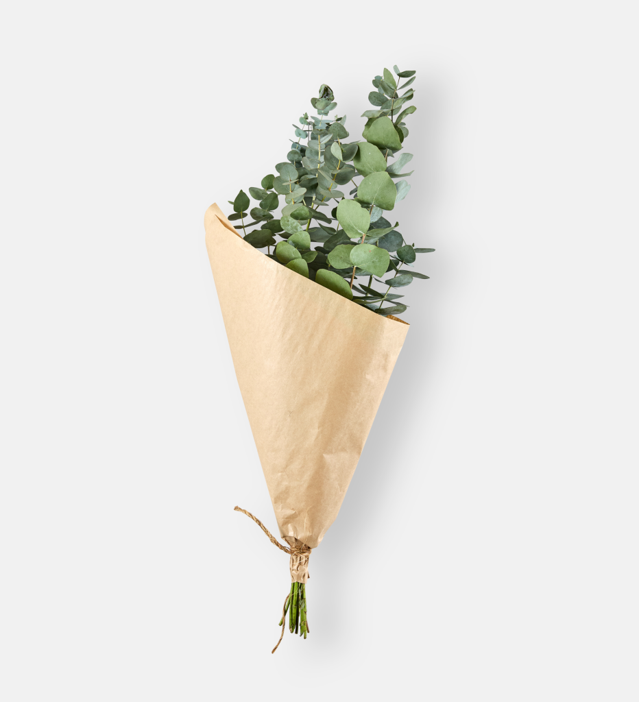 Pnny Gum  Bouquet (94075)
