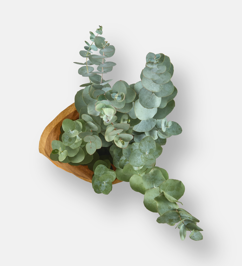 Pnny Gum  Bouquet (94081)
