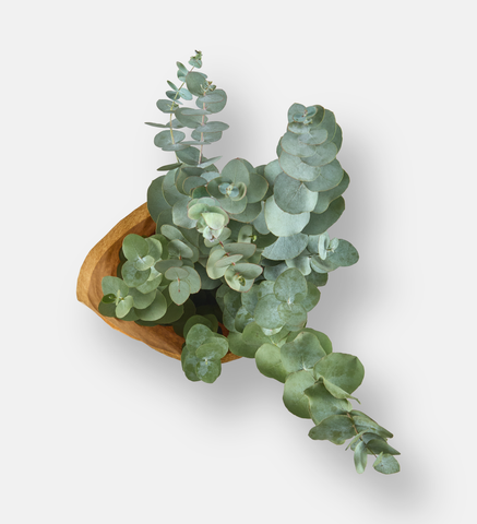 Pnny Gum  Bouquet (94081)
