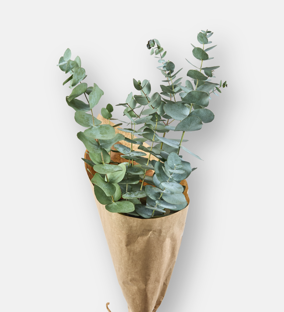 Pnny Gum  Bouquet (94082)