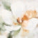Petals On Dawn Wall Art (112625)