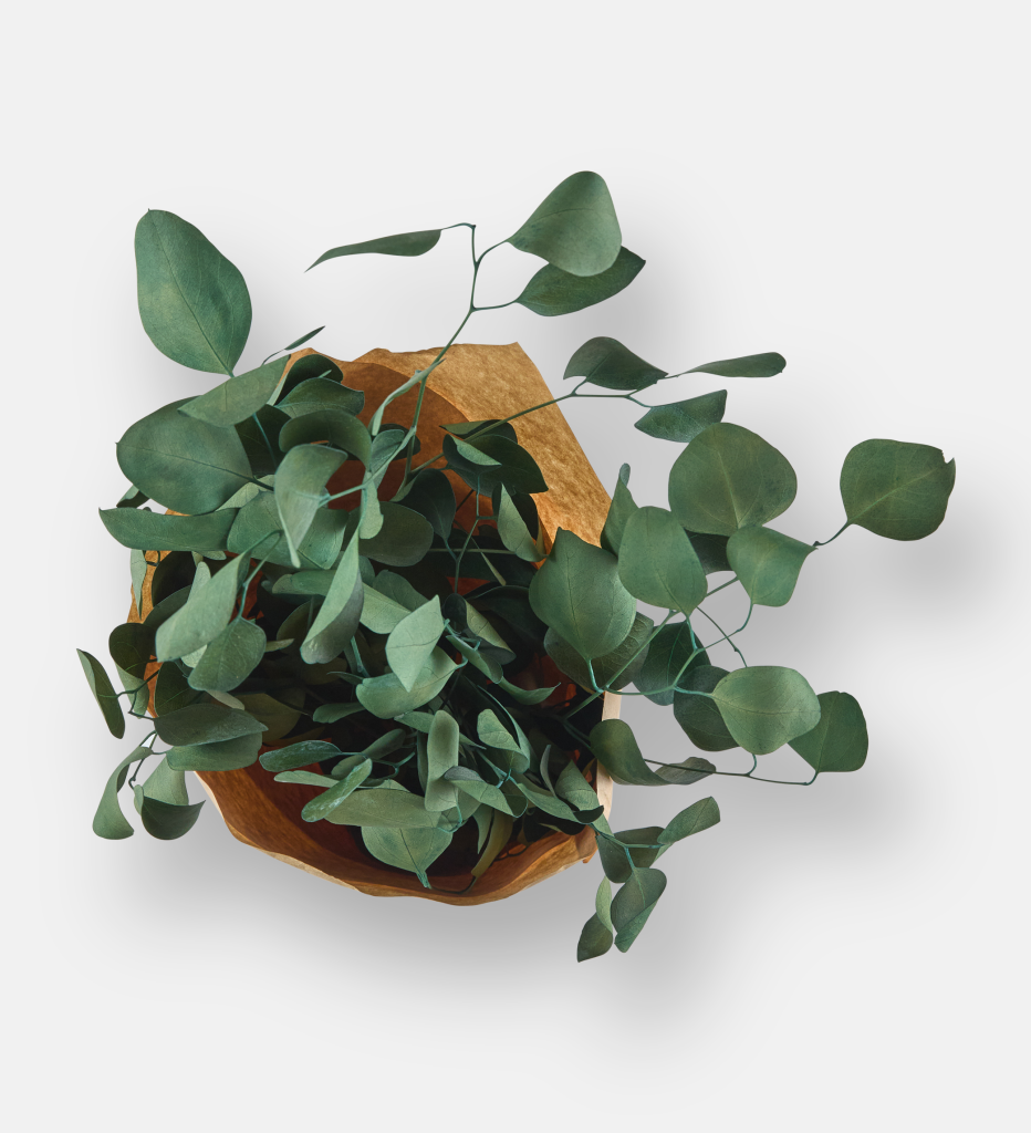 Populus Bouquet Green (94123)