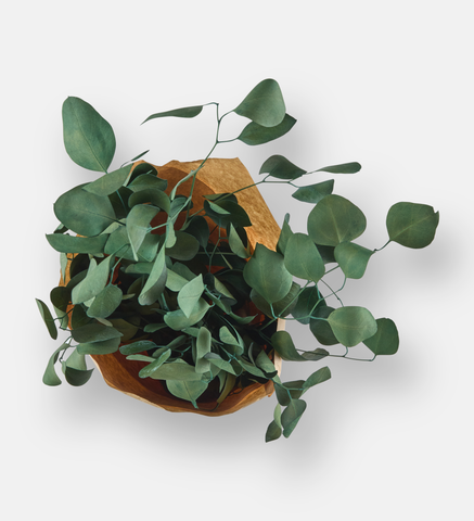 Populus Bouquet Green (94123)