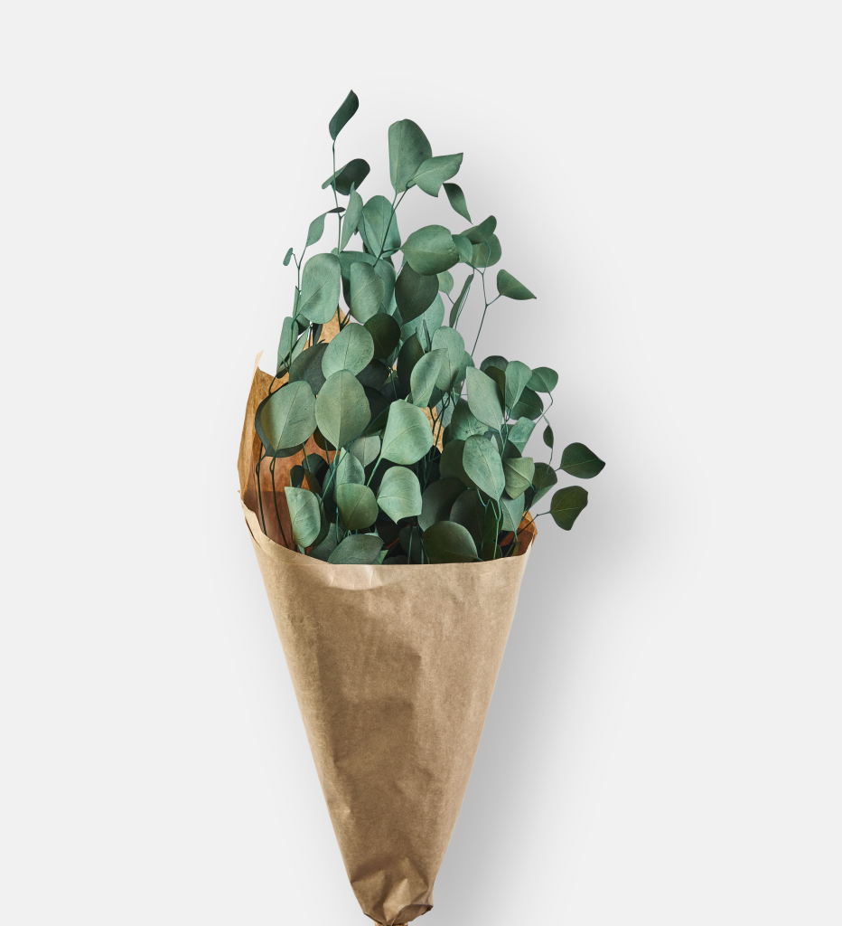 Populus Bouquet Green (94124)