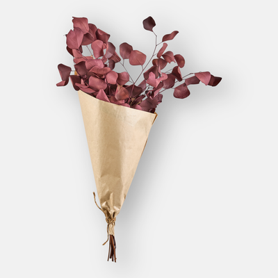 Populus Burgundy Bouquet