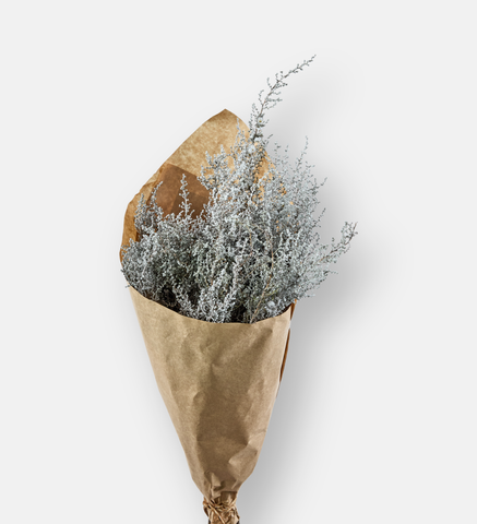 Stoebe Elegance (94103)