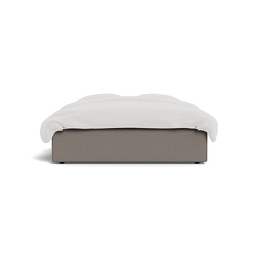 Universal Leather Queen Standard Length (106793)
