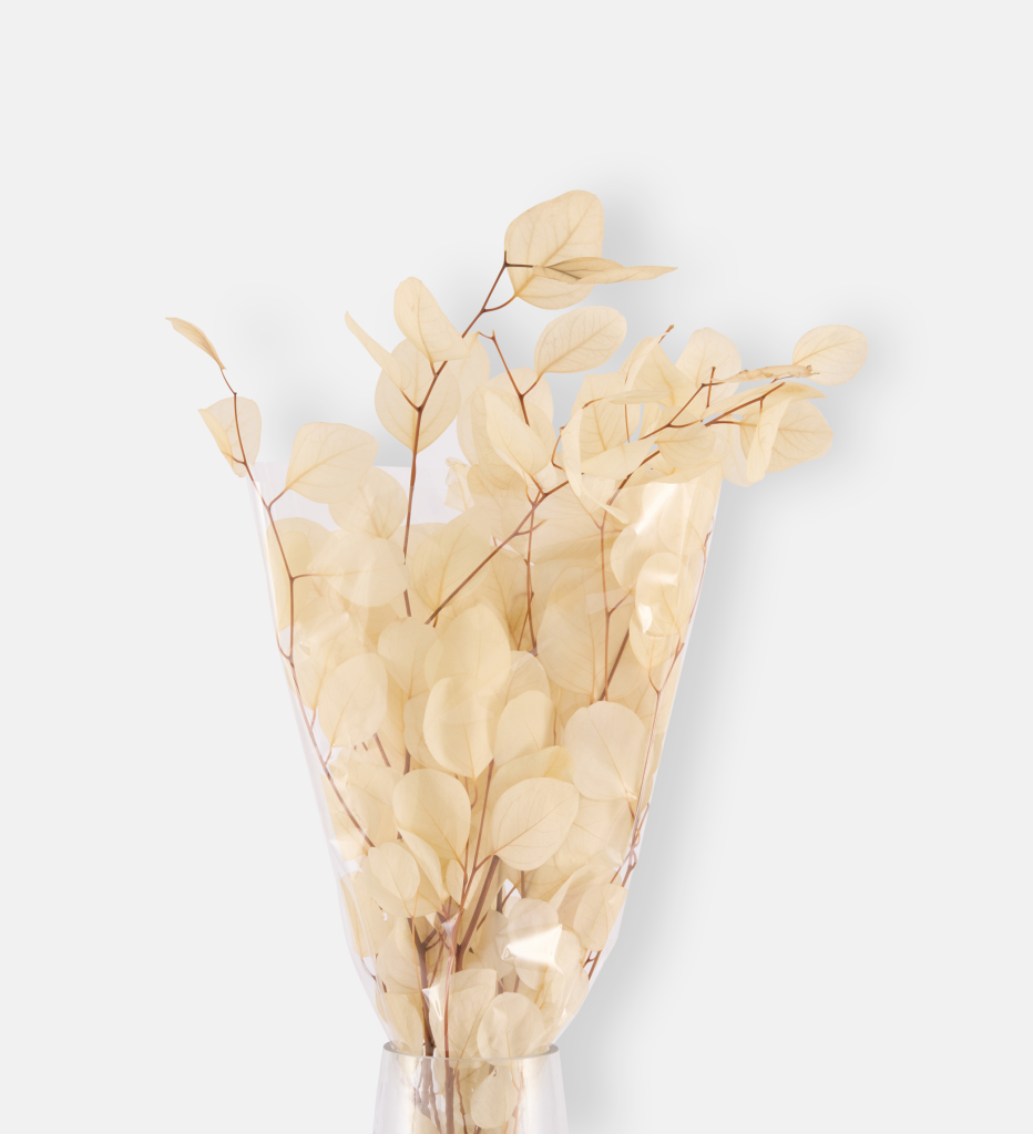 White Woodland (102548)