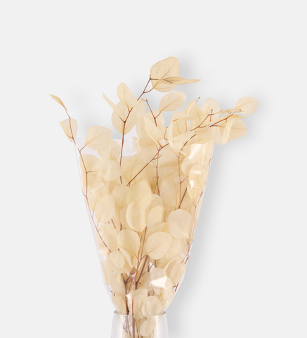 White Woodland (102548)