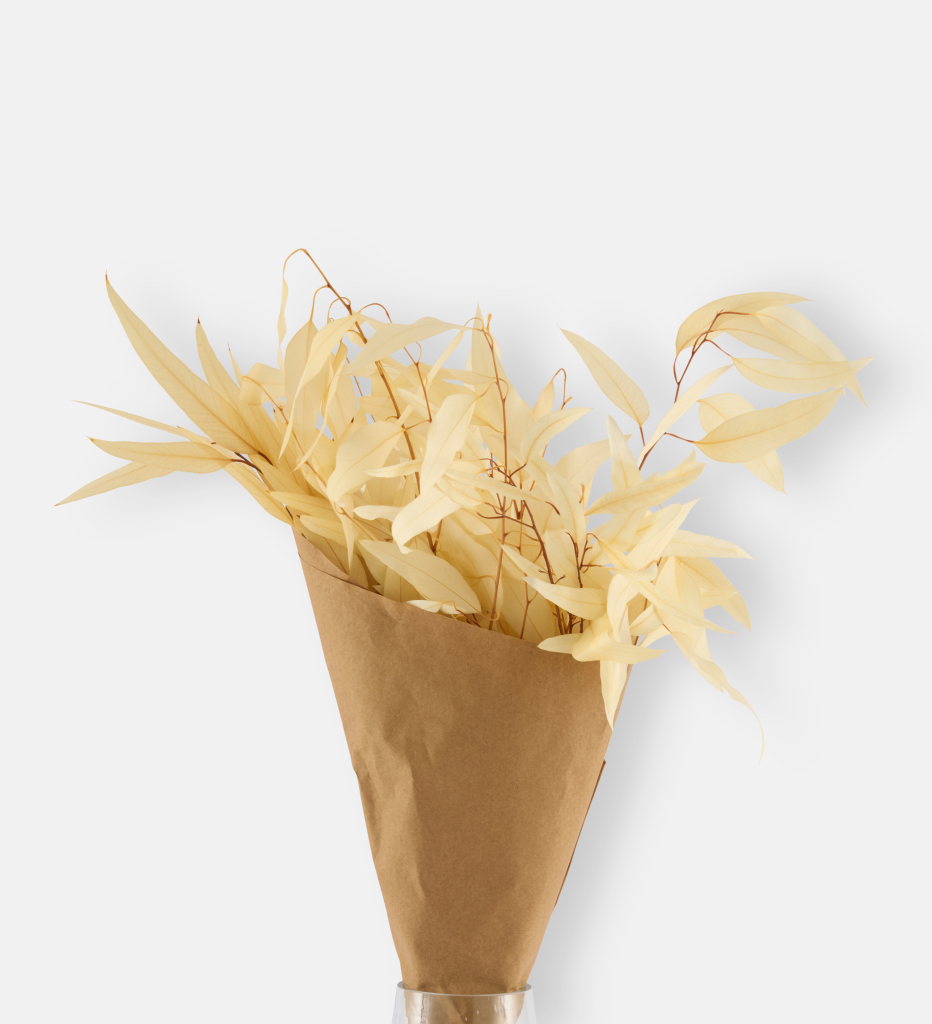 Winter Stem (102545)